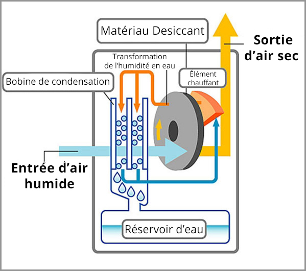 Le composant principal du déshumidificateur sans compresseur (desiccant) est le disque de zéolite qui tourne à basse vitesse. L’air humide de la pièce traverse le disque et le desiccant absorbe l’humidité. Le déshumidificateur fait passer l’air à